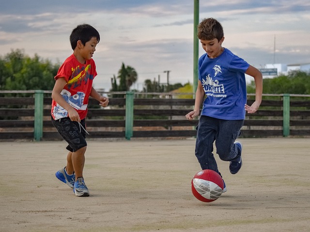 意甲-博洛尼亚VS克雷莫纳：小球会被看好争冠